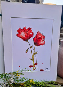 Poppy Print