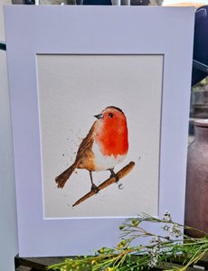 Robin ll Print