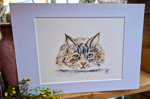 Mr Tatty Print