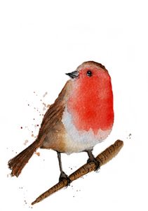 Robin Card Greeting Card